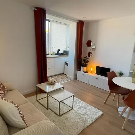 Nid Douillet Proche Capitole Apartamento Toulouse Exterior foto