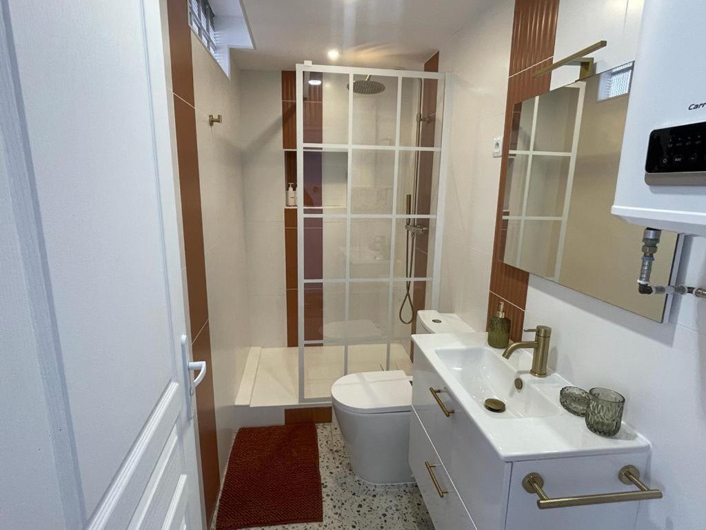 Nid Douillet Proche Capitole Apartment Toulouse